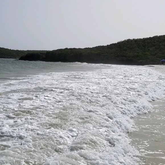 Meet your Posher, Ricky - Picture 1 of 1